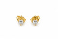 Lily Mini Studs